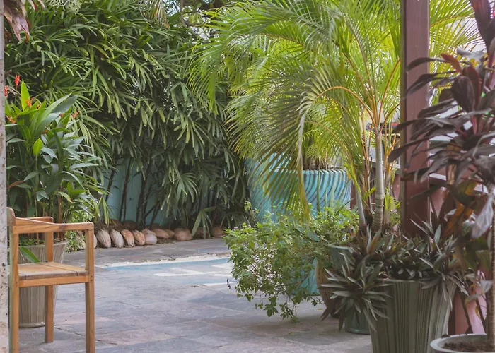 Hotel Palma Royale Bocas Town