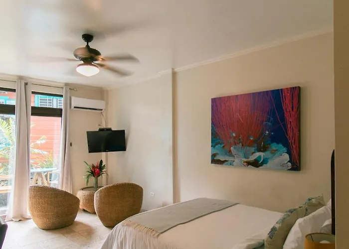 Hotel Palma Royale Bocas Town