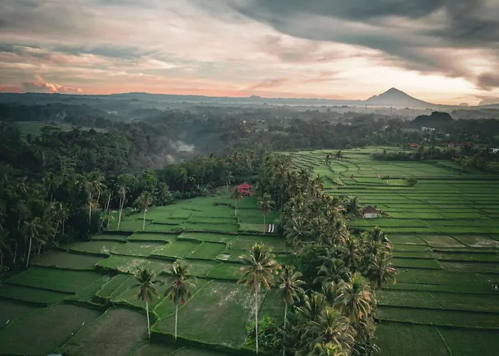 Ayu Duwur Beji Hotel Ubud