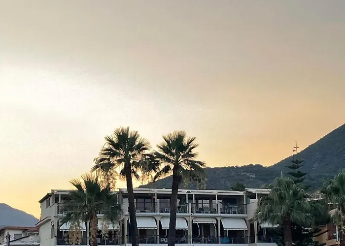 Palm Trees Hotel Nydri 