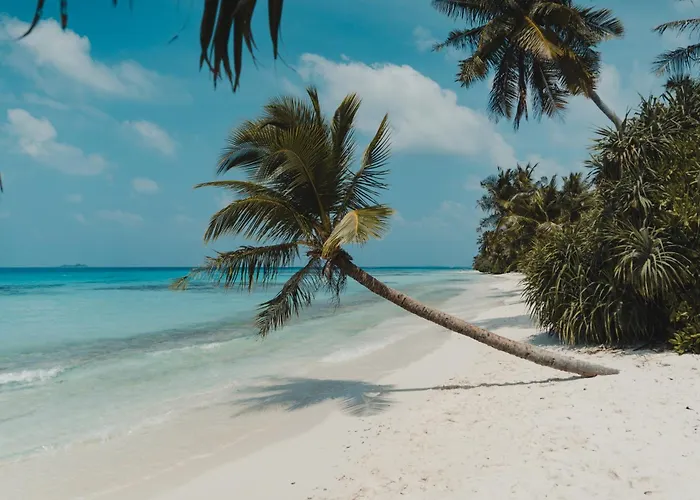 Muraka Dhigurah Dhigurah 