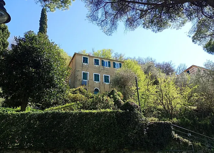 Golfo Paradiso Camogli