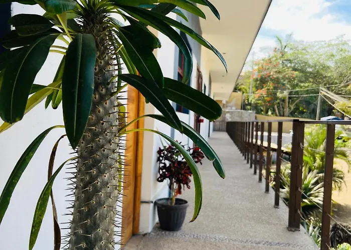 Hotel Samanu Sayulita