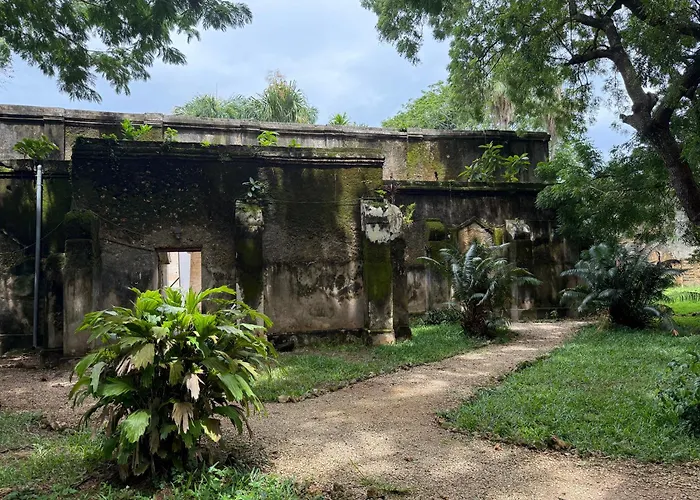 Mbweni Ruins & Gardens Previously Jungle Paradise Zanzibar