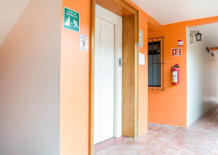 Oyo Hotel Museo Xalapa