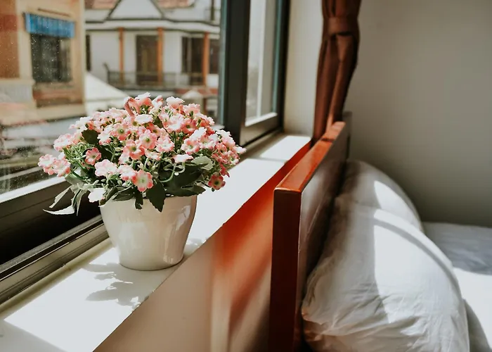 Talofofo Hotel Đà Nẵng