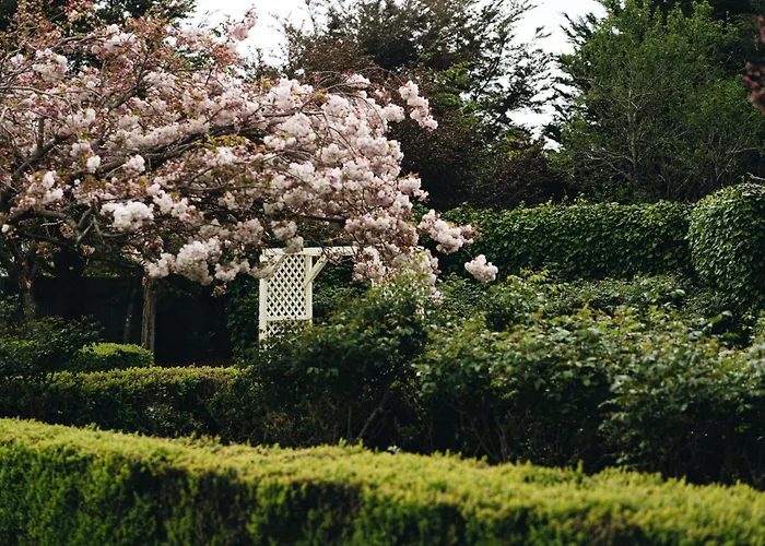 Brackenridge Country Retreat & Spa Martinborough
