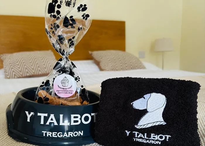 Y Talbot Hotel Tregaron