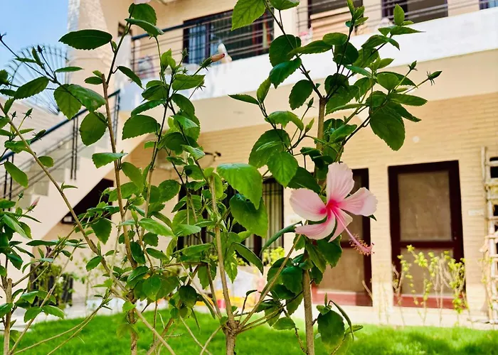 Nature'S Nook Noida