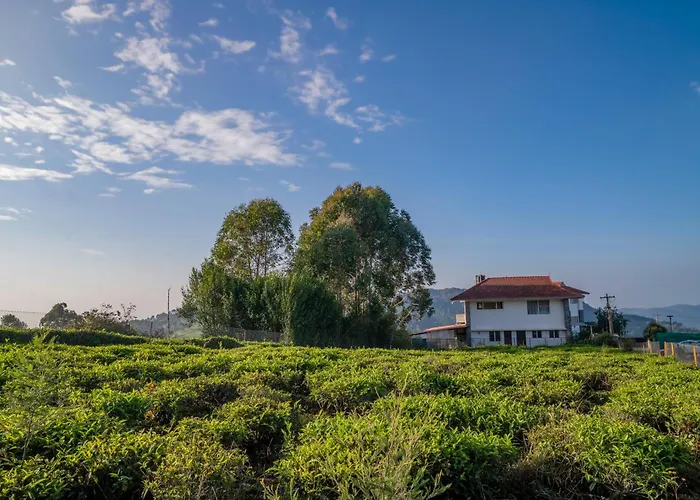 The Misty Meadows Bed & Breakfast Coonoor