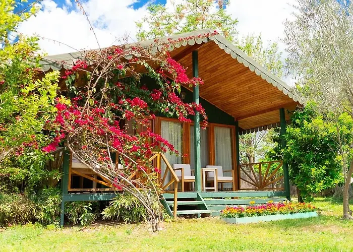 Etenna Beach Bungalows Çıralı