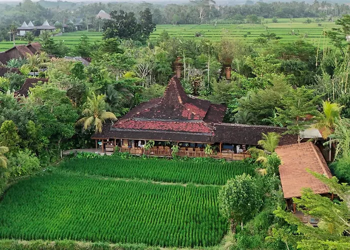 Ubud Art Resort By Wedja
