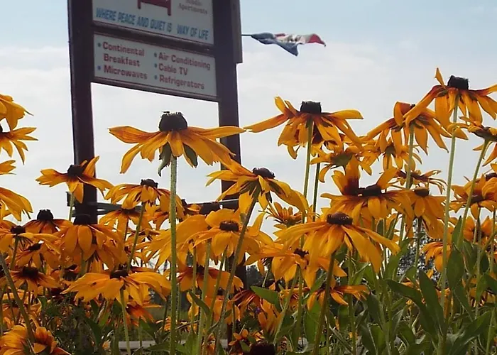 Aroostook Hospitality Inn - Washburn Presque Isle