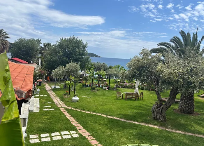 Angeliki Beach Hotel Megali Ammos 