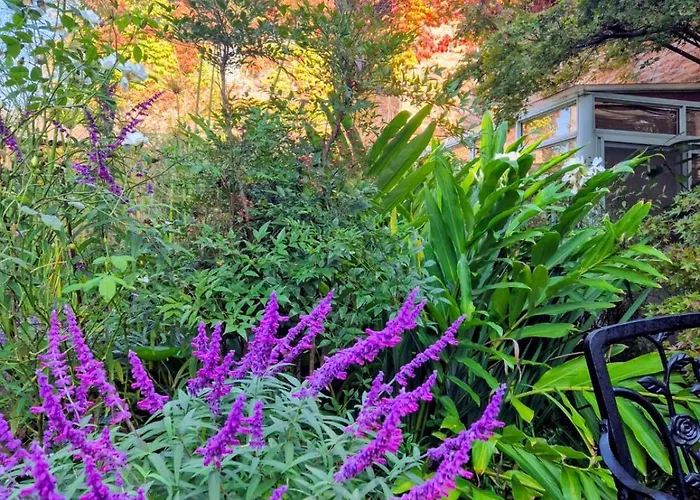 La Ignacia Bed&Breakfast Pilar 