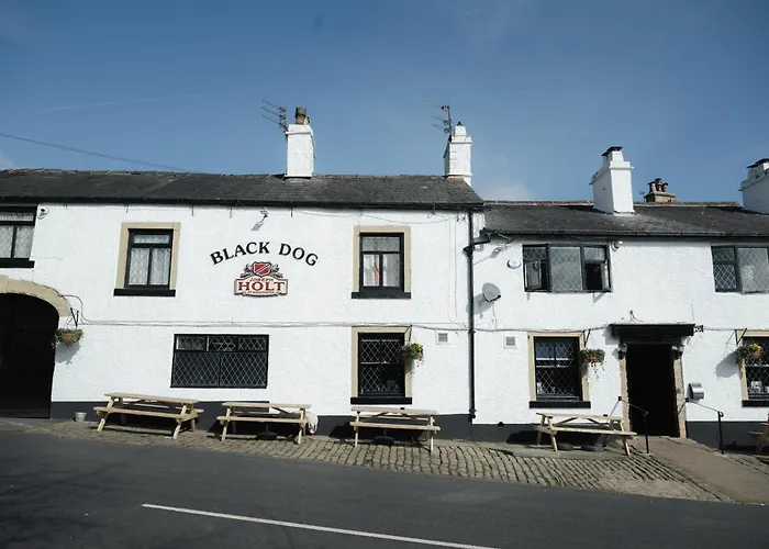 Black Dog Inn Bolton
