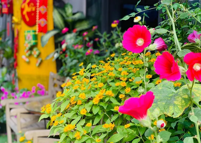 May'S House Hoi An