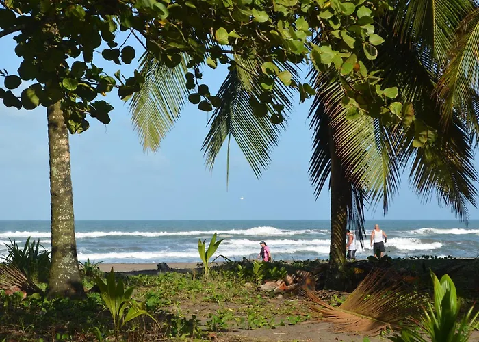Hotel Pura Natura Beachfront Tortuguero