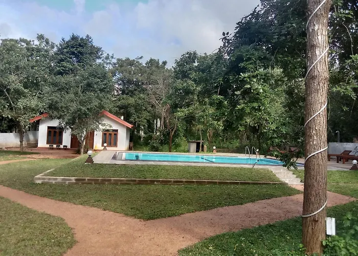 Lion King Jungle Cabanas Sigiriya