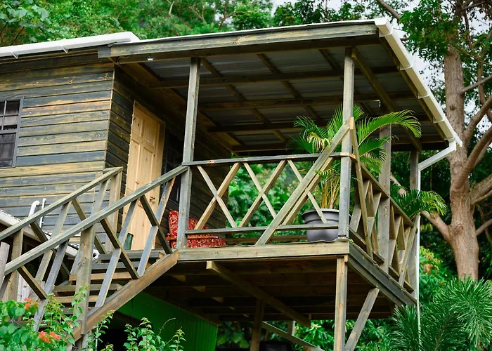 Bambooze Eco Cabin Including Therapeutic Sulphur Baths Roseau