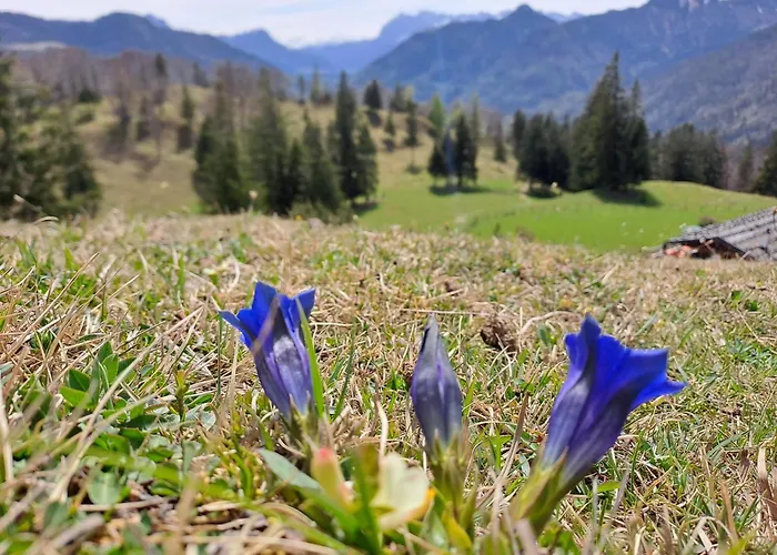 WuhrsteinHaus, Heil- und Seminarzentrum Chiemgau Schleching