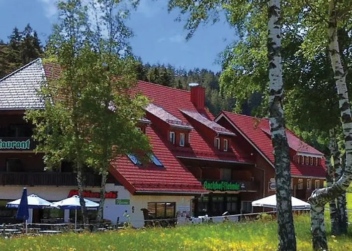 Landgasthaus Backhof-Helmle Breitnau