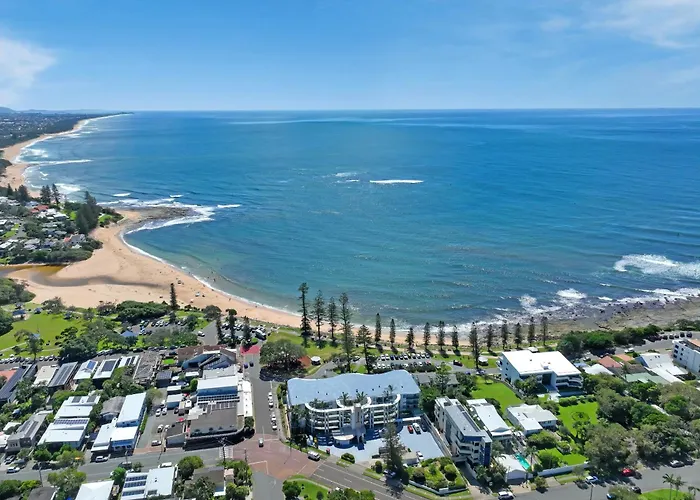 The Norfolks On Moffat Beach Caloundra
