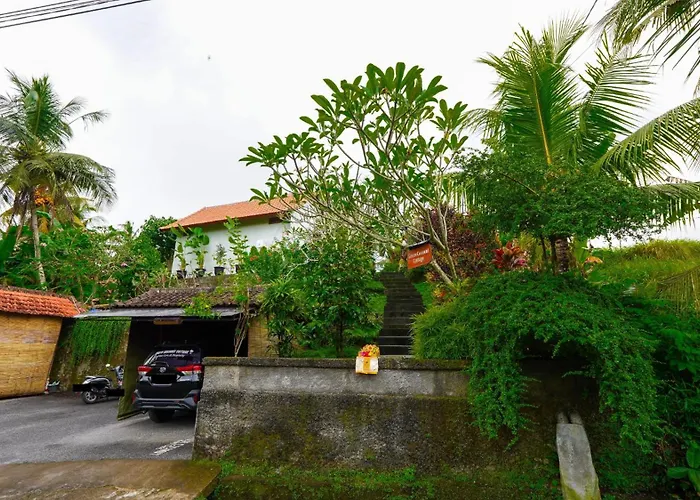 Green Coconut Cottage Ubud