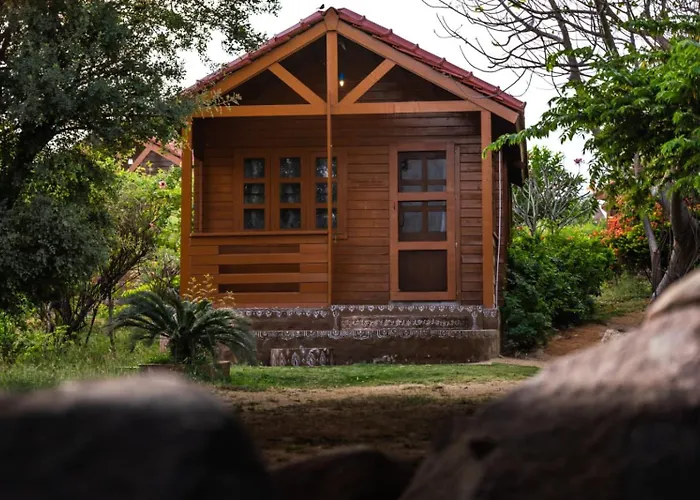 Leo Wooden Resorts Hampi