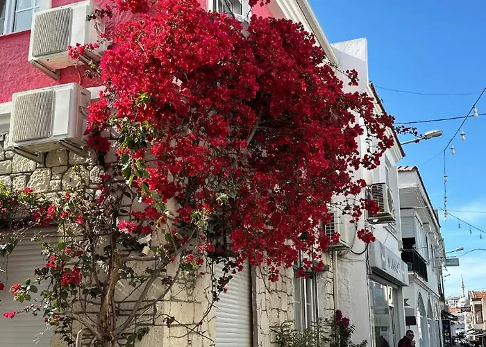 Viyana Pansiyon Çeşme