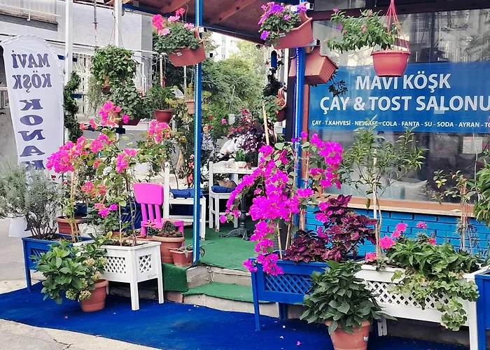 Mavi köşk Bursa