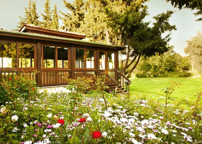 Naturmed Thermal Springs And Health Center Kuşadası