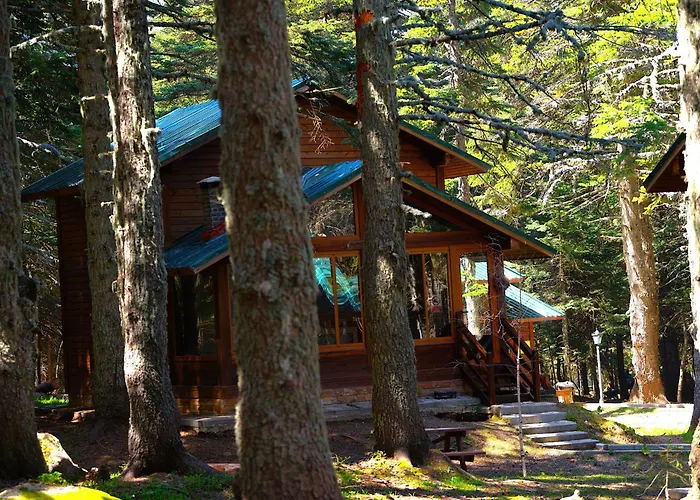 Çobankaya Orman Koskleri Otel Uludağ