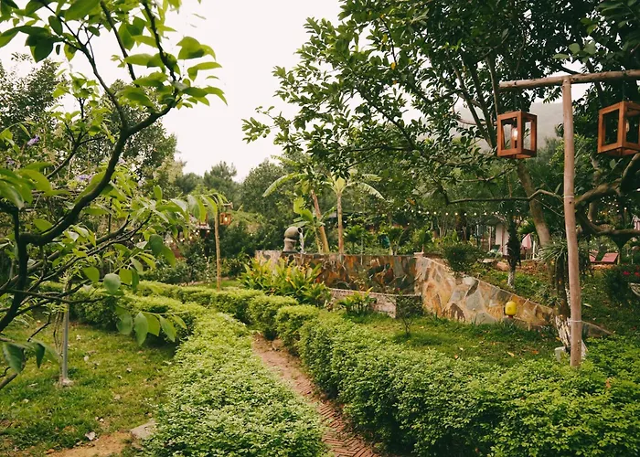 Căn Gỗ Hà Nội