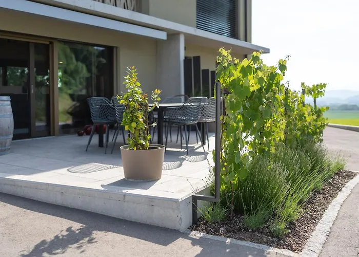 Hotel Le Rive Sud Estavayer-le-Lac