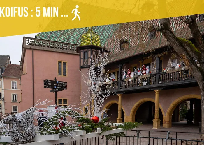 Le Bretzel Petite Venise Vieille Ville City Center Wi-Fi Colmar