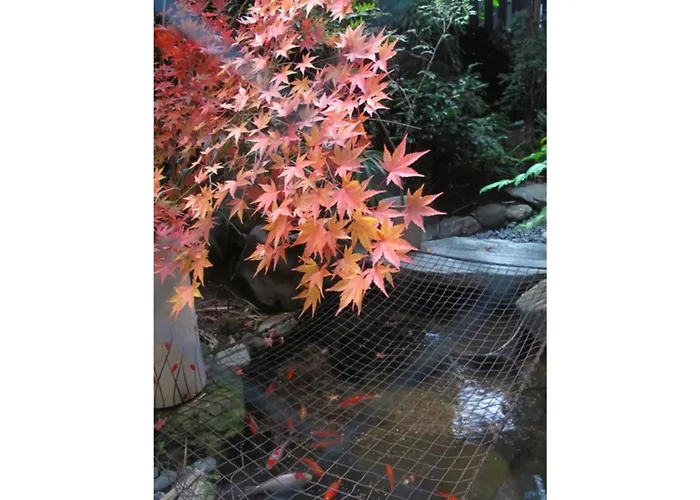 Matsubaya Ryokan - Vacation Stay 05188V Kioto