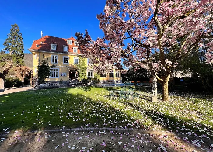 Hotel Restaurant Du Parc Thann