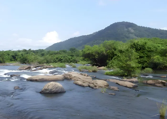 Palatty'S Resorts Athirappilly
