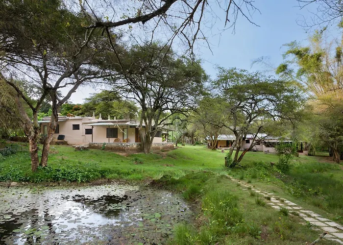 Jungle Hut Resort Masinagudi