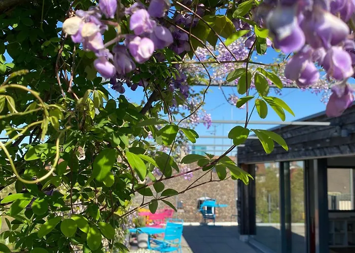 Josephine'S Guesthouse - Women Only With Rooftop And Community Area Zürich