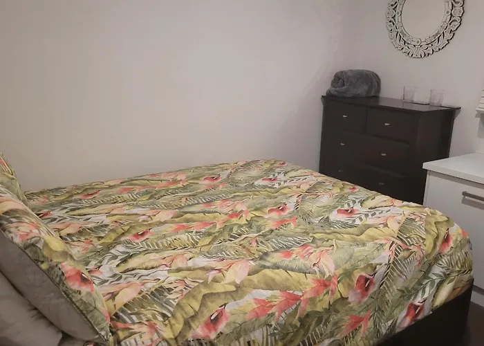 C'Est La Vie Bed & Breakfast Albany