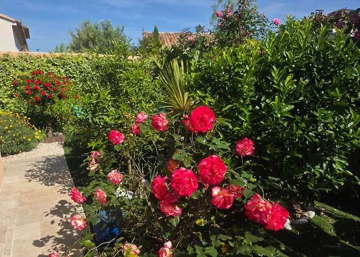 Chambre d'hôtes dans Villa Diane La Londe-les-Maures