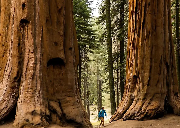 Hidden Falls Retreat Peaceful Guesthouse Near Yosemite Oakhurst