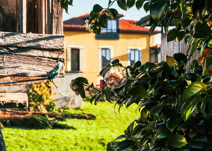 La Casona de Faedo Pensión Cudillero