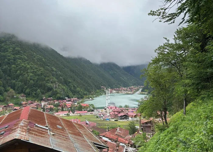Şahin Apart Uzungöl
