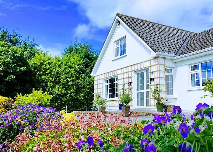 Happy Hill Guesthouse Youghal