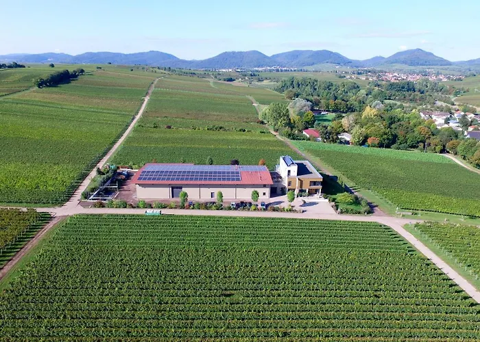 Vögelis WeinNest Landau in der Pfalz