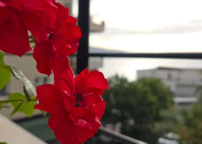 Valza Boutique Hotel Vlorë