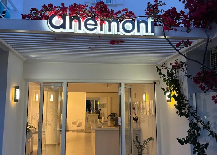 Anemoni Beach Hotel Skiathos